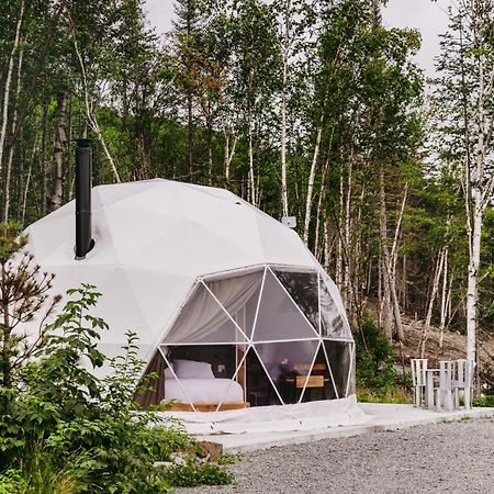 Saint-David-de-Falardeau Les Diamants De L'Eternel 아파트 외부 사진